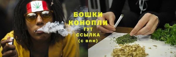 стафф Заводоуковск