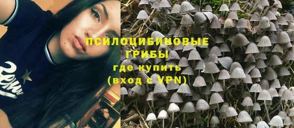 стафф Заводоуковск