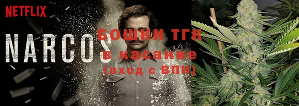 стафф Заводоуковск