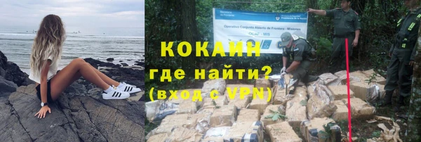 стафф Заводоуковск