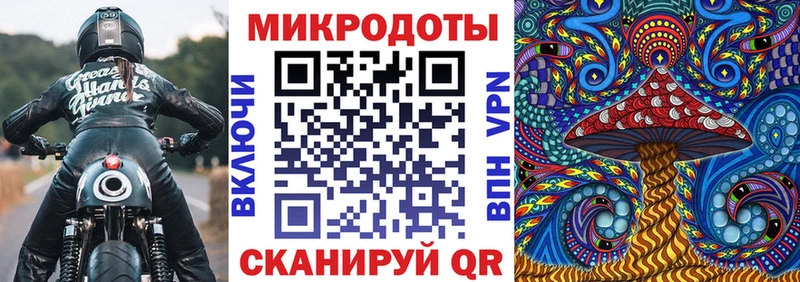 Галлюциногенные грибы Psilocybine cubensis  Купить  Тобольск 